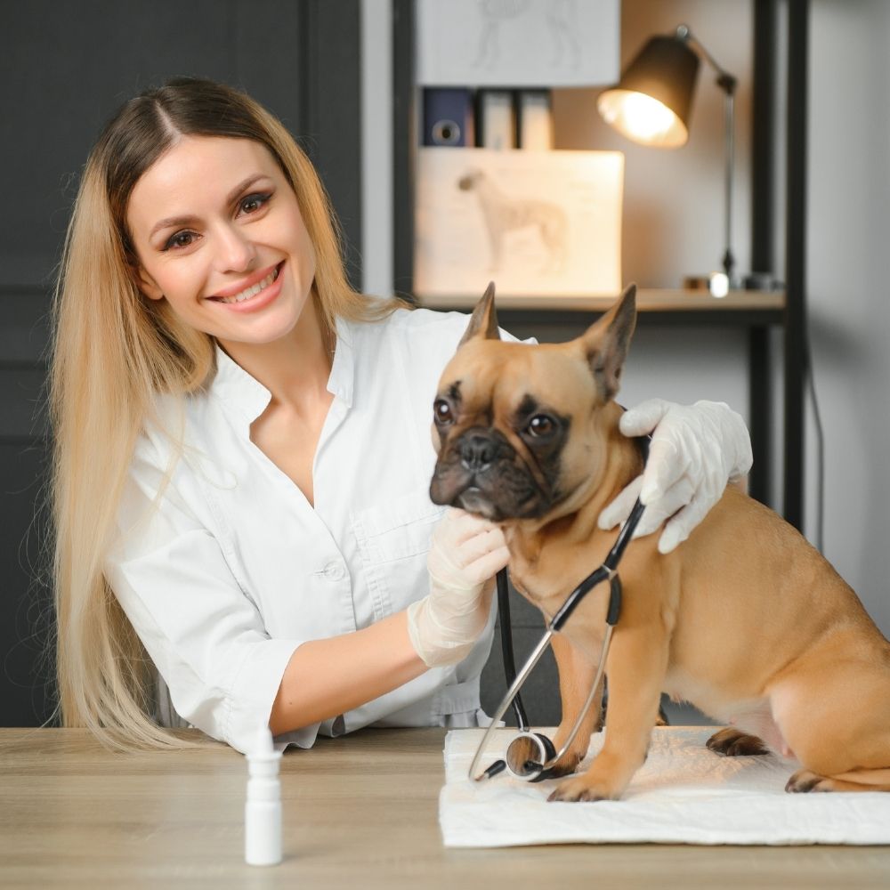 a person in a white lab coat is holding a dog with a stethoscope