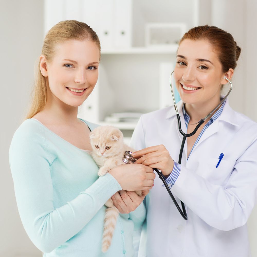 A person is holding a kitten and a doctor is standing next to them