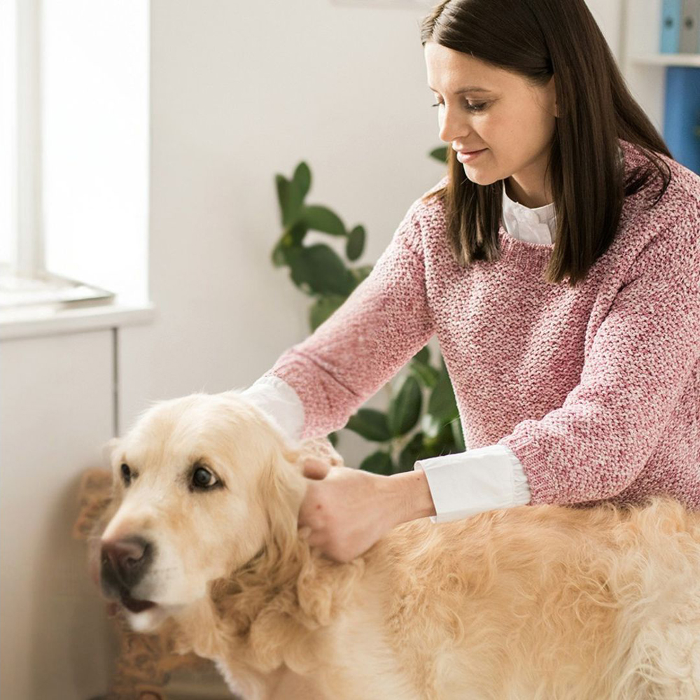 lady petting dog at the animal hospital