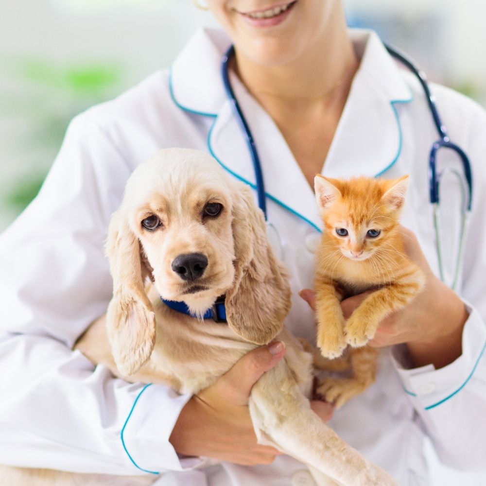 a doctor in a white lab coat holding a dog and a cat