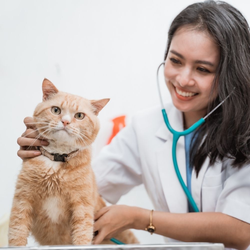 lady petting dog at the animal hospital