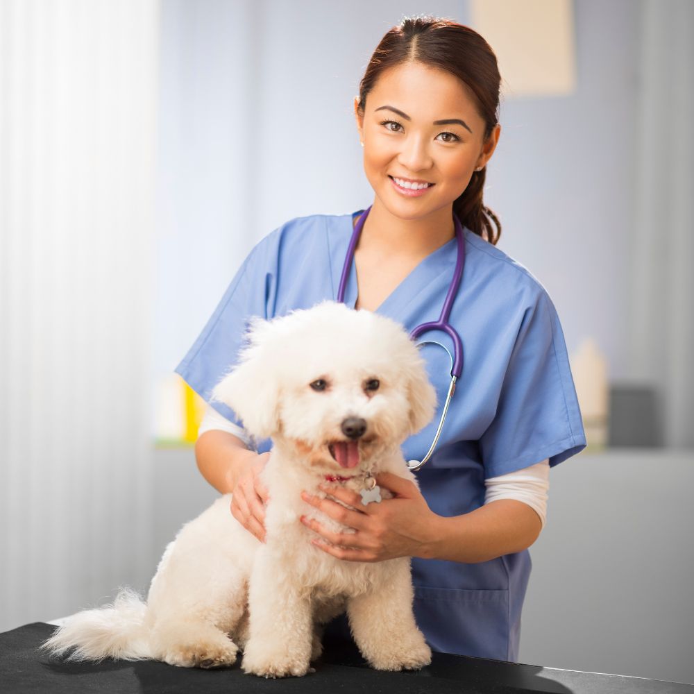lady petting dog at the animal hospital