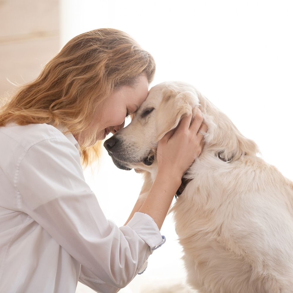 lady petting dog at the animal hospital