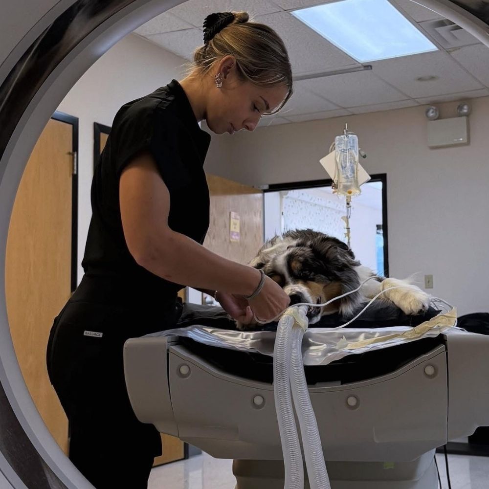 lady petting dog at the animal hospital